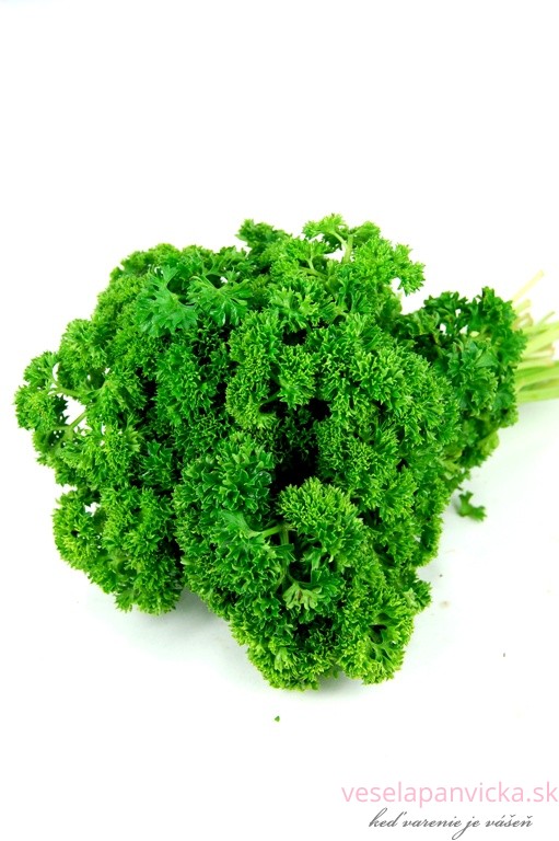 curly parsley